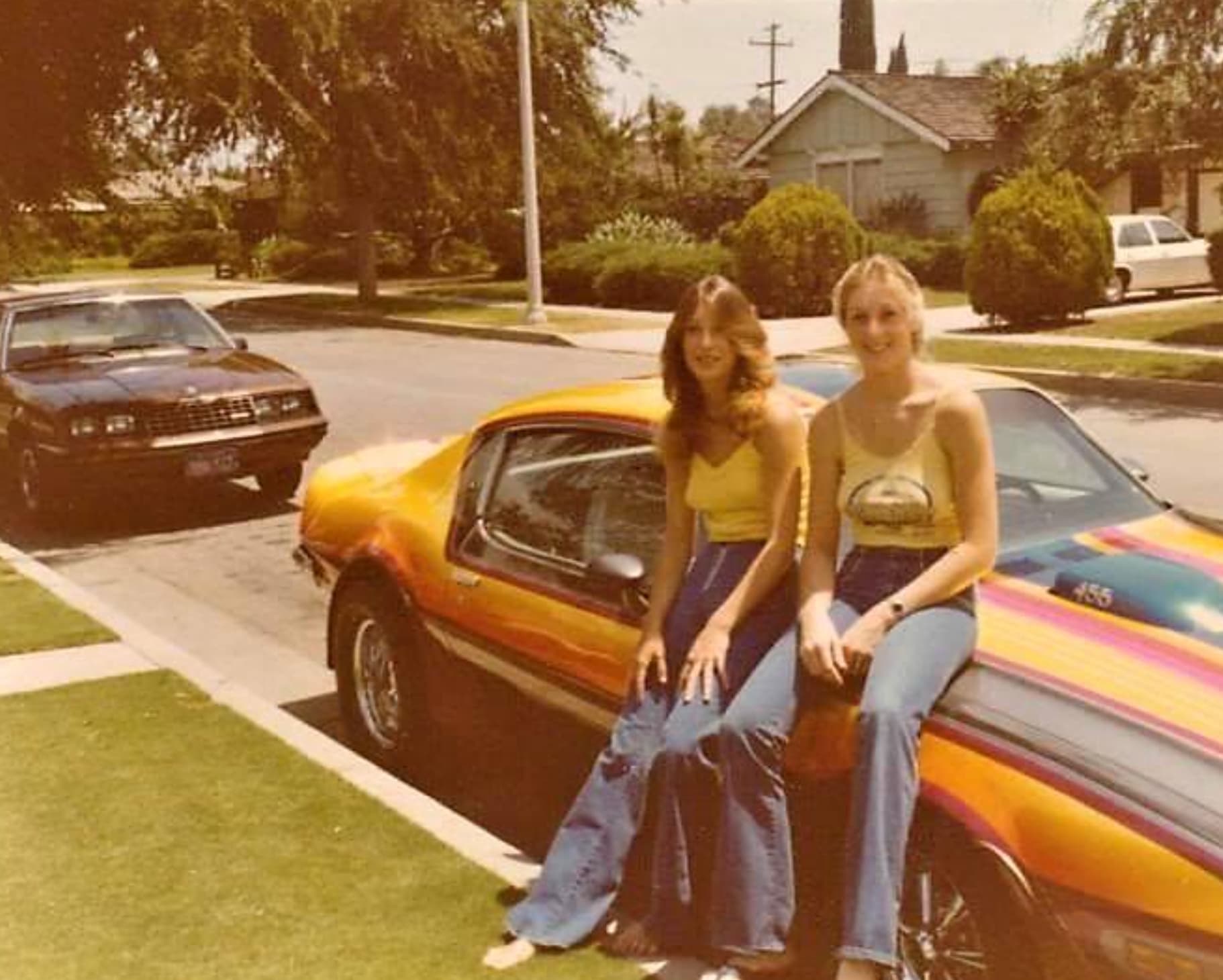 70s chicks - 455